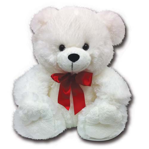 Teddy Bear – Surprise Gifts Canada